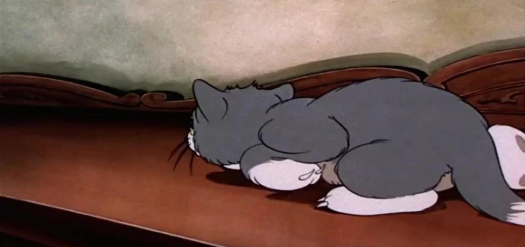 За что наказали кота